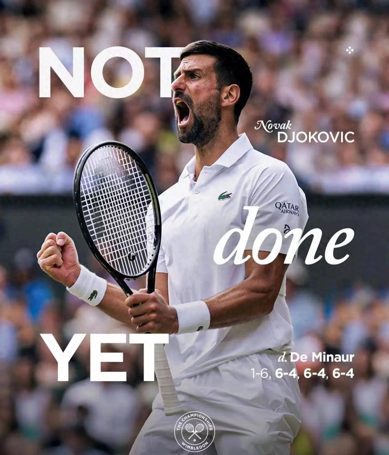 蜂鸟电竞-关于德约科维奇在日本队比赛中势不可挡，关键助攻引发热议！的信息